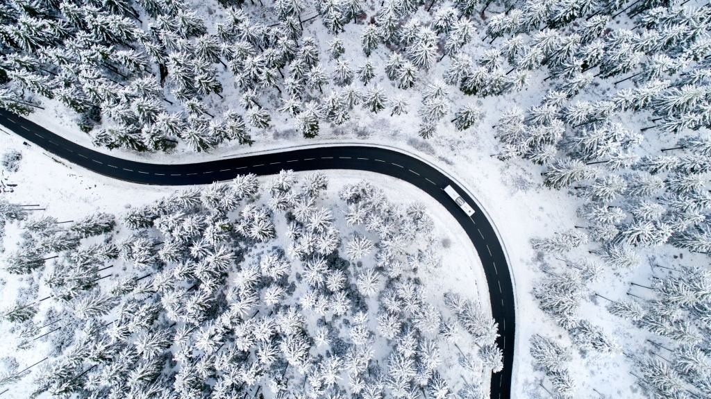 A road winding through a snowy pine forest